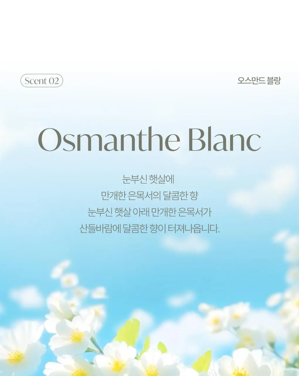 [온라인단독] 라운드어라운드 센티드 차량용 방향제 4g 2종 상세페이지 11